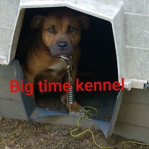 Meet your Posher, Andre